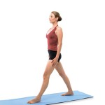 Мышцы спины: упражнения для женщин